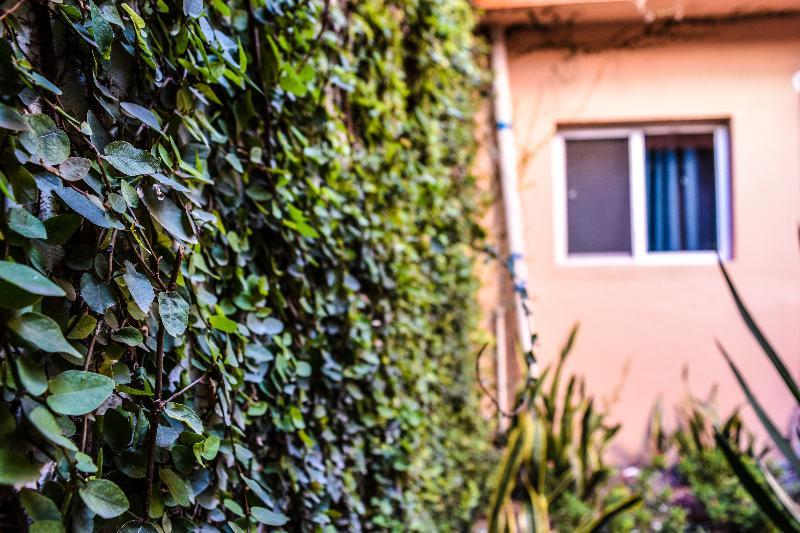 Econosuites Monterrey Eksteriør bilde